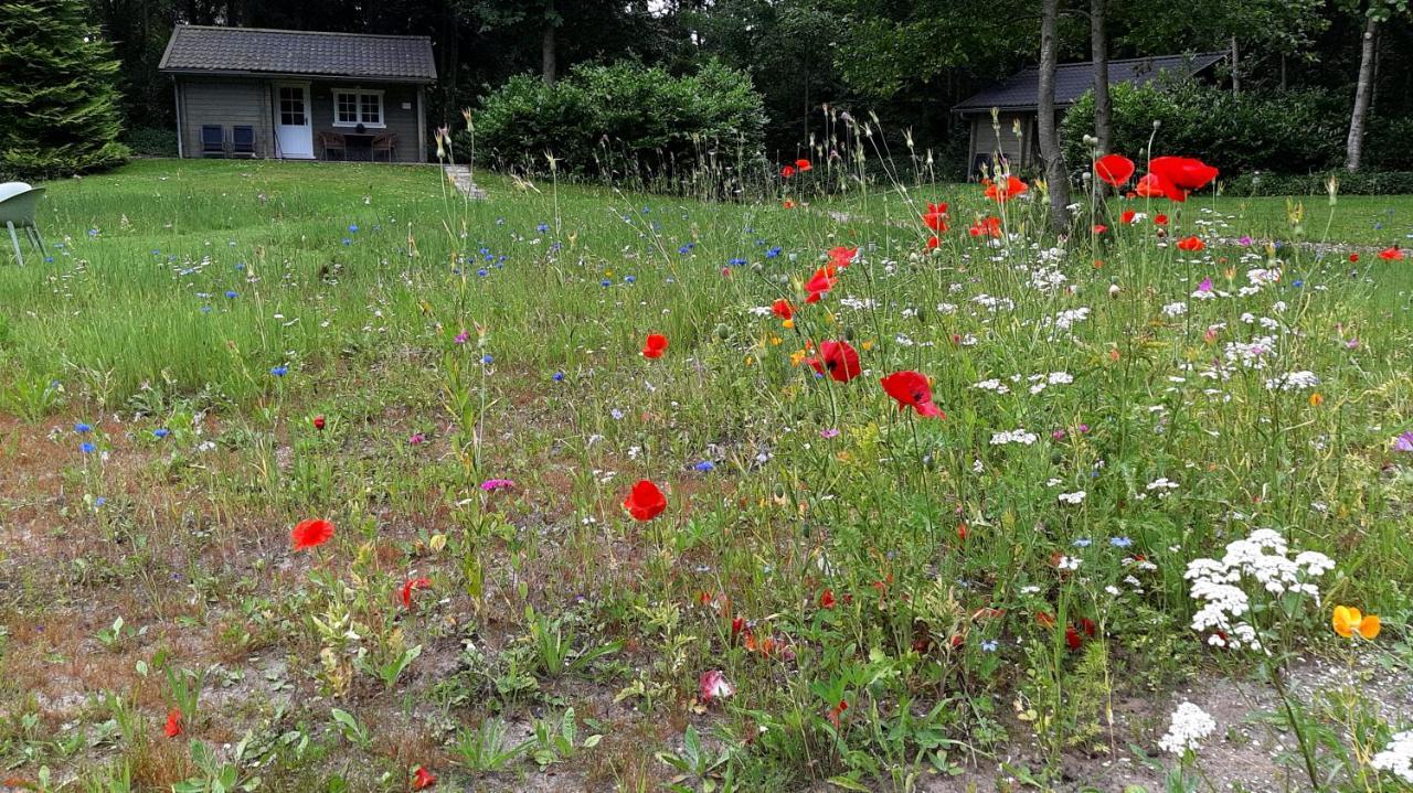 Vila Kievit Appelscha Exteriér fotografie