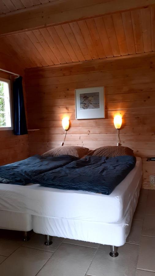 Vila Kievit Appelscha Exteriér fotografie